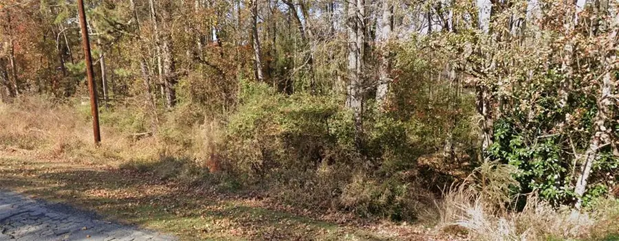 2842 Drowning Creek Road, Dacula, GA 30019 - #3