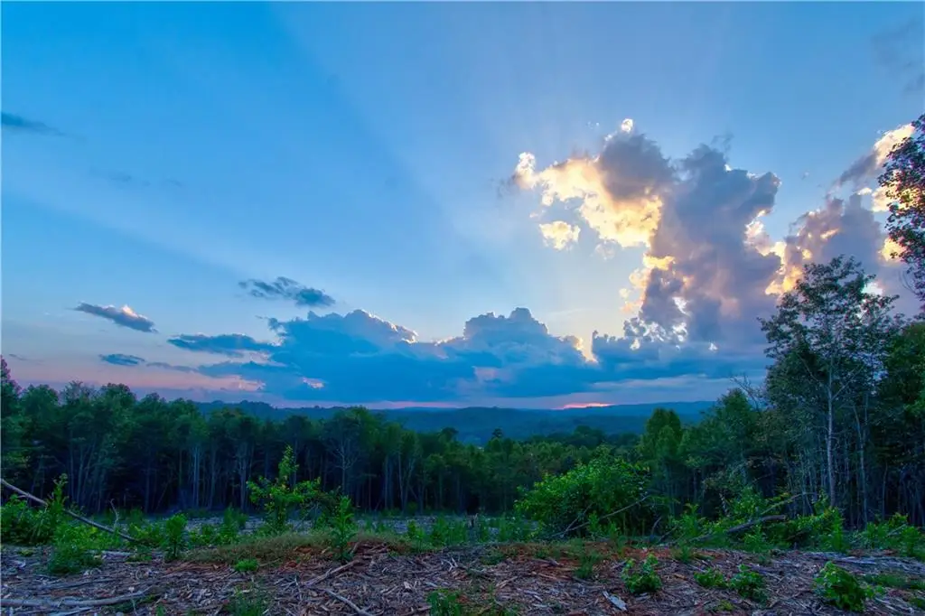 6.7 Grateful View Drive, Dahlonega, GA 30533 - #1