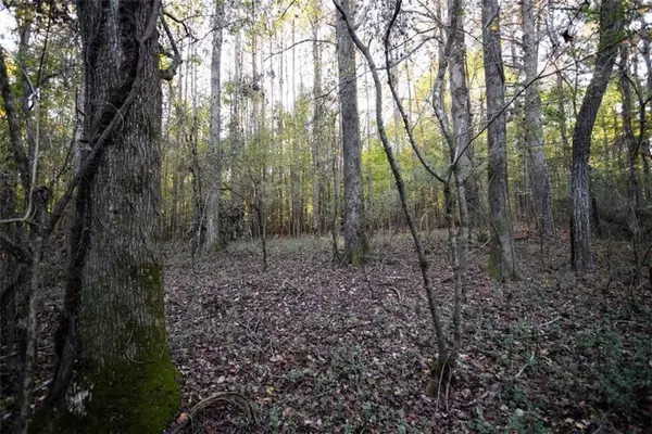 00 Thurman Baccus Road, Social Circle, GA 30025