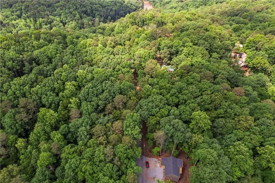 0 Pamela Court, Ellijay, GA 30540 - #2