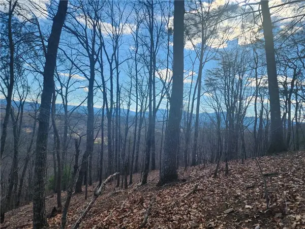 0 Trackrock Gap Road, Blairsville, GA 30514