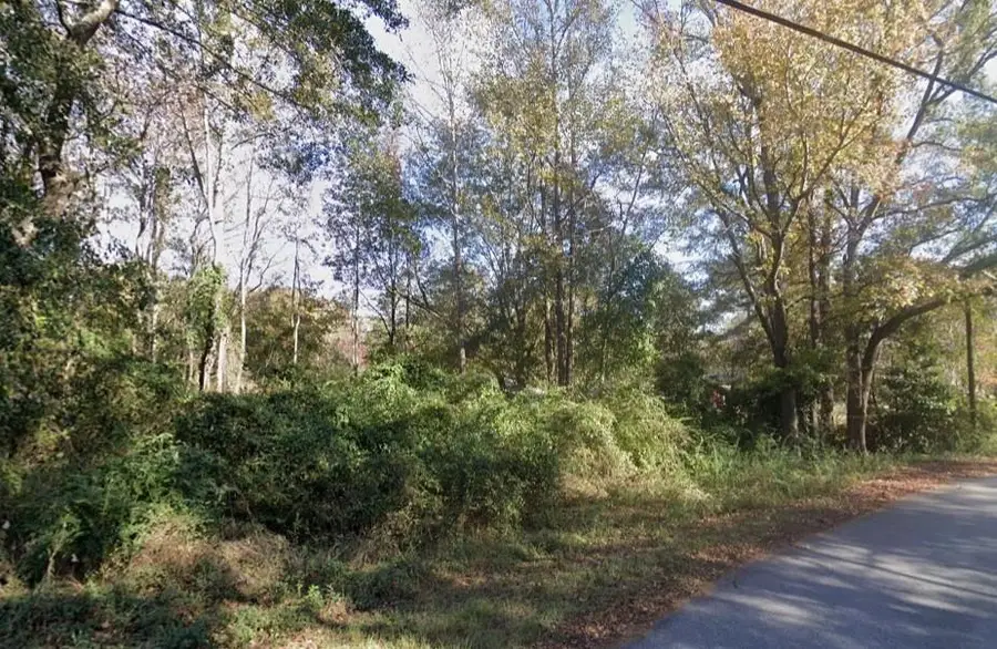 0 Harris Road, Ellerslie, GA 31807 - #3