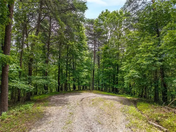 1331 Birch Lane Ne, Ranger, GA 30734