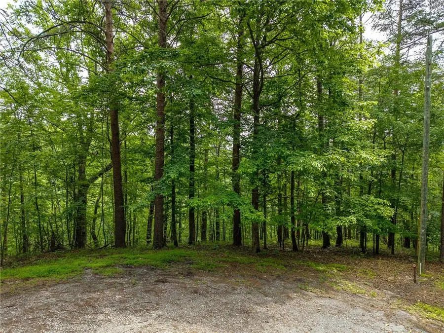 1331 Birch Lane Ne, Ranger, GA 30734 - #2