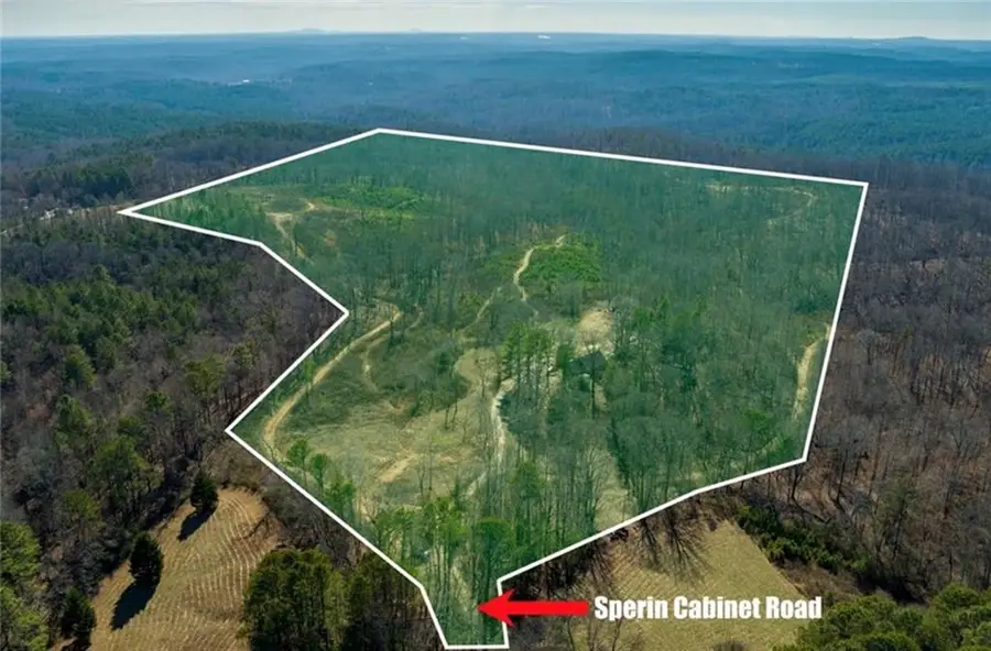 170 Sperin Cabinet Shop Road, Ball Ground, GA 30107 - #3