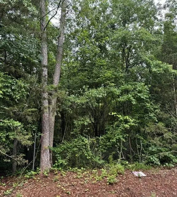 0 Lewis Drive, Lavonia, GA 30553