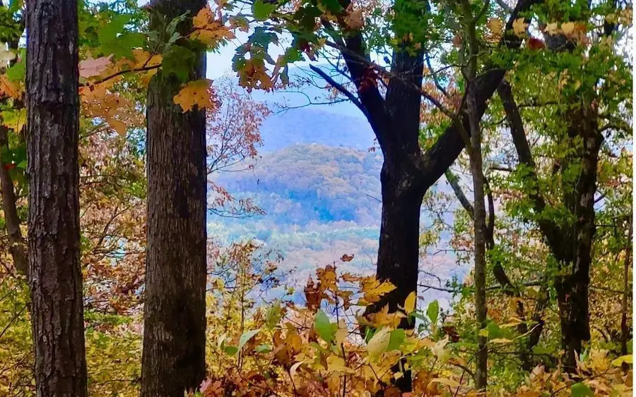 43.91 Old Burnt Mountain, Ellijay, GA 30540 - #3