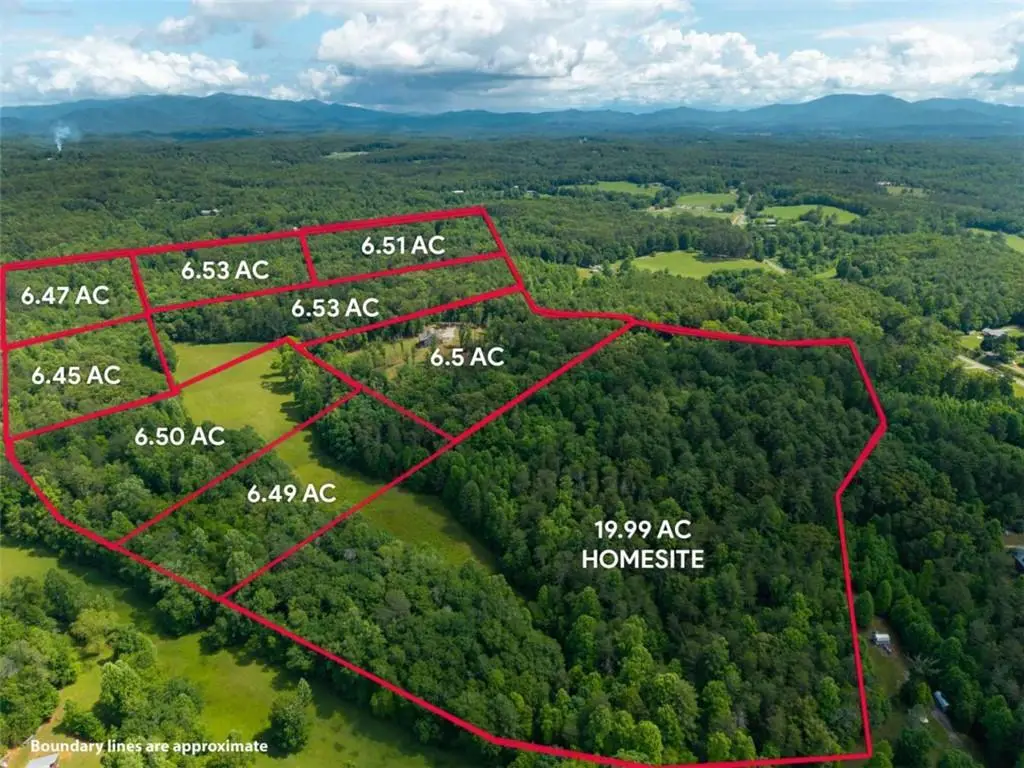 5664 Mobile Road, Blue Ridge, GA 30513 - #1