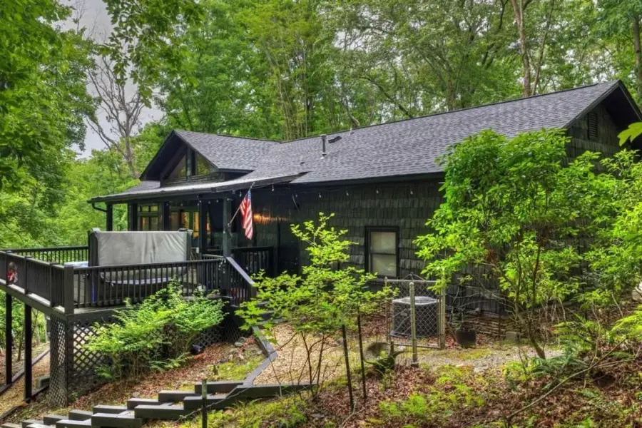 115 New River Estates, Mineral Bluff, GA 30559 - #3