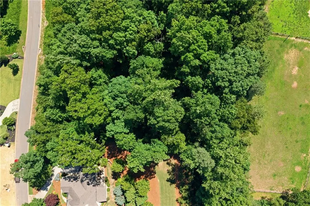 234 Traditions Drive, Alpharetta, GA 30004 - #1