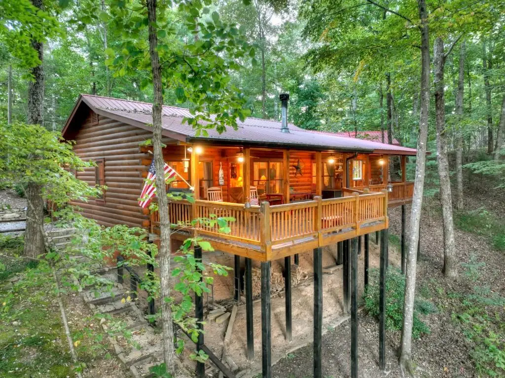 9 Joanna Court, Cherry Log, GA 30513 - #1