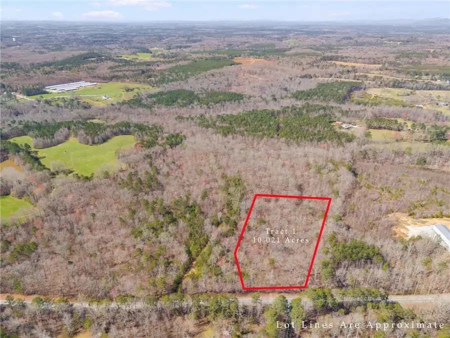 Tract5 Georgia Highway 100, Buchanan, GA 30113 - #3