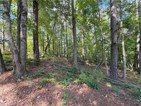 1306 Southgate Drive, Villa Rica, GA 30180