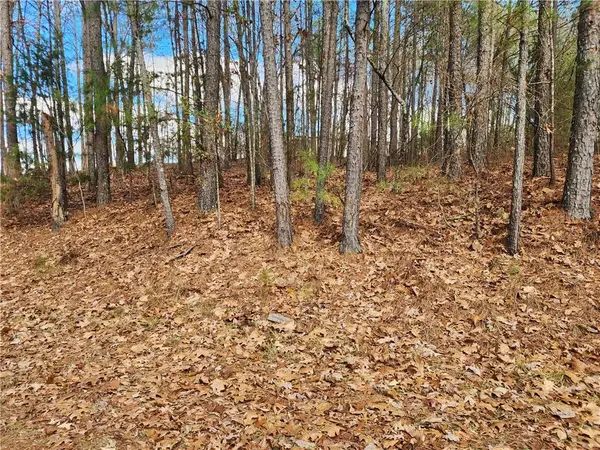 91 Cannon Ridge View, Dallas, GA 30132