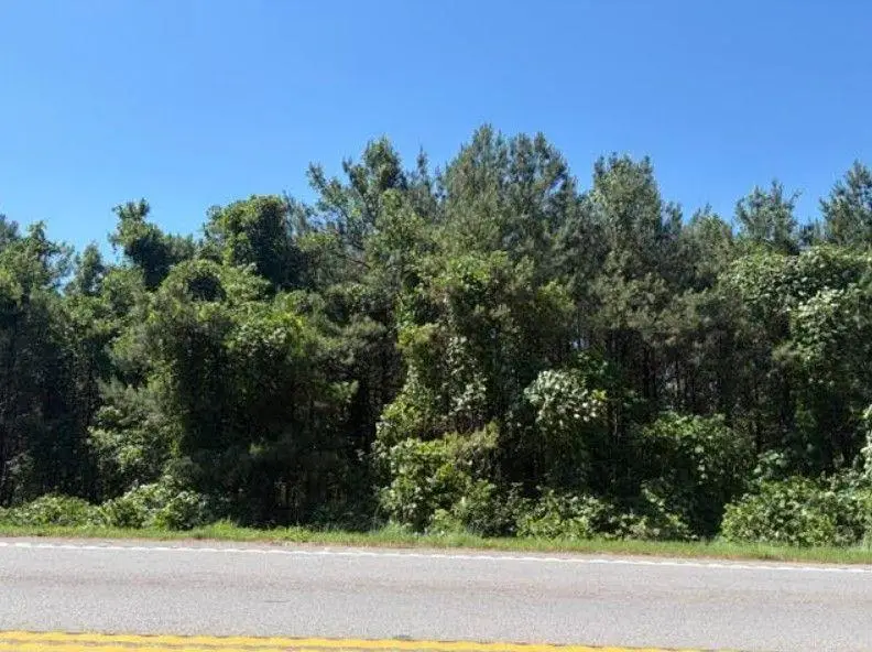 7057 Hwy 81, Monroe, GA 30656 - #3