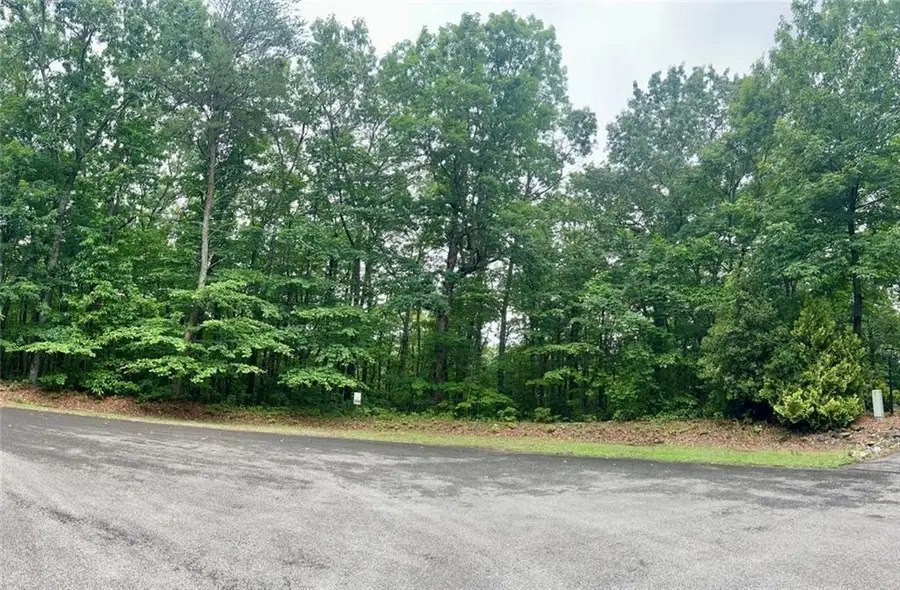 0 Highpointe Trail, Ellijay, GA 30536 - #2