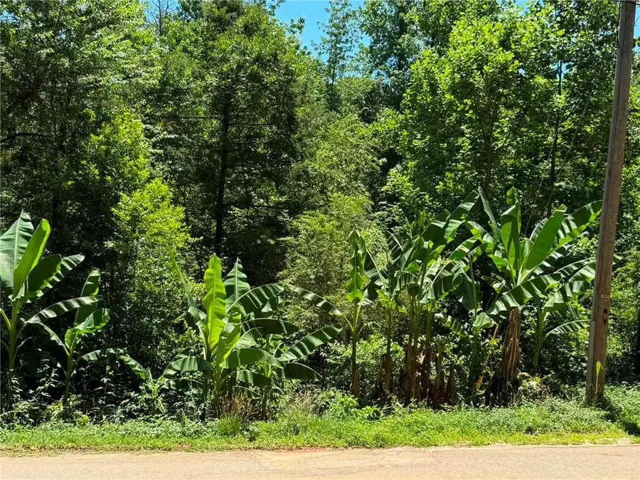 0 Lakeshore Road, Martin, GA 30557 - #2