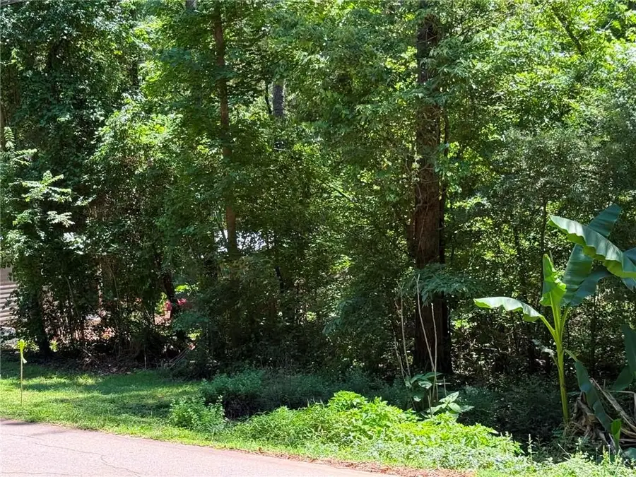 0 Lakeshore Road, Martin, GA 30557 - #3