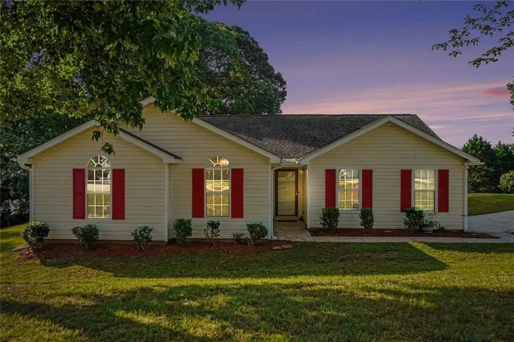 4466 Big Bluff Court, Douglasville, GA 30135 - #1