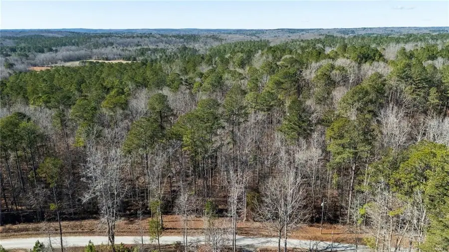 0 Pace Road, Chattahoochee Hills, GA 30213 - #2