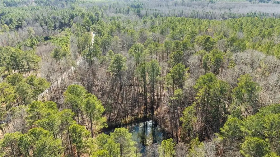 0 Pace Road, Chattahoochee Hills, GA 30213 - #3