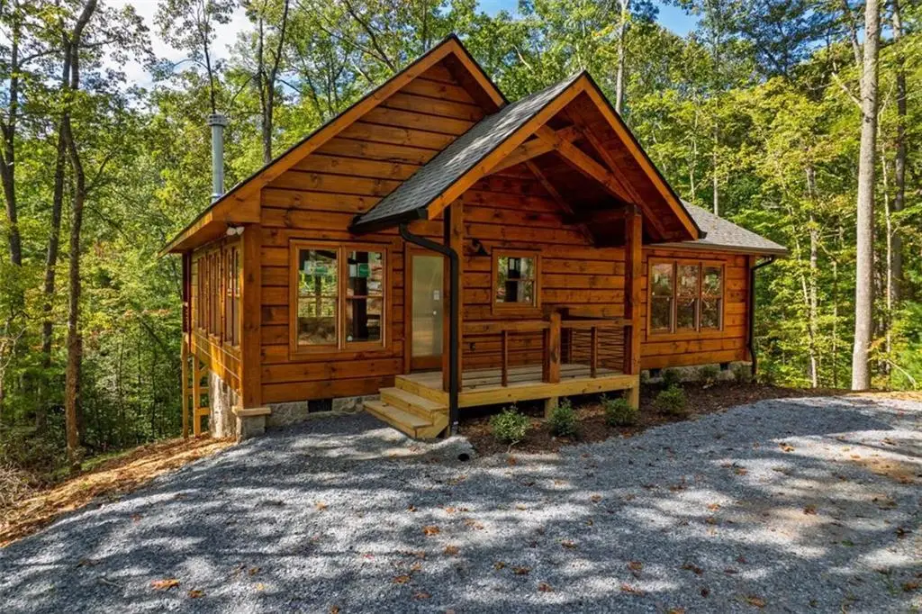 100 Crystal Oliver Lane, Blue Ridge, GA 30513 - #1