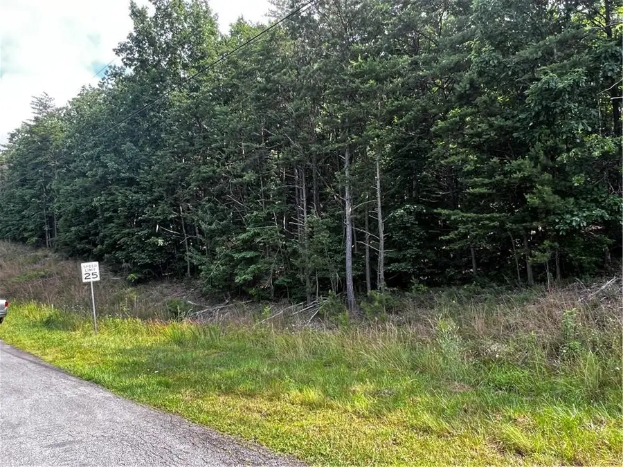 0 Wild Azalea Trail, Waleska, GA 30183 - #2