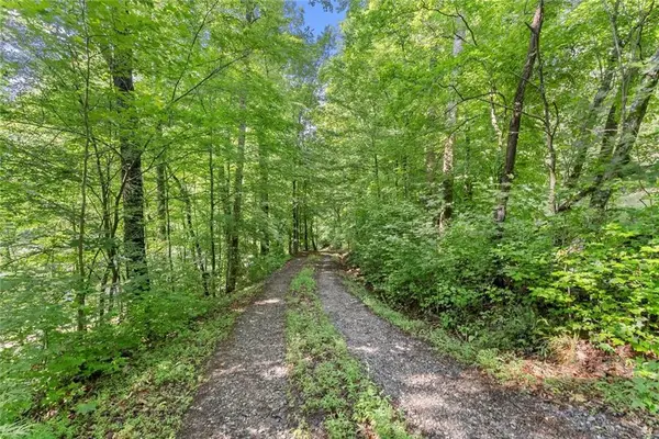 0 Long Branch Road, Dahlonega, GA 30533