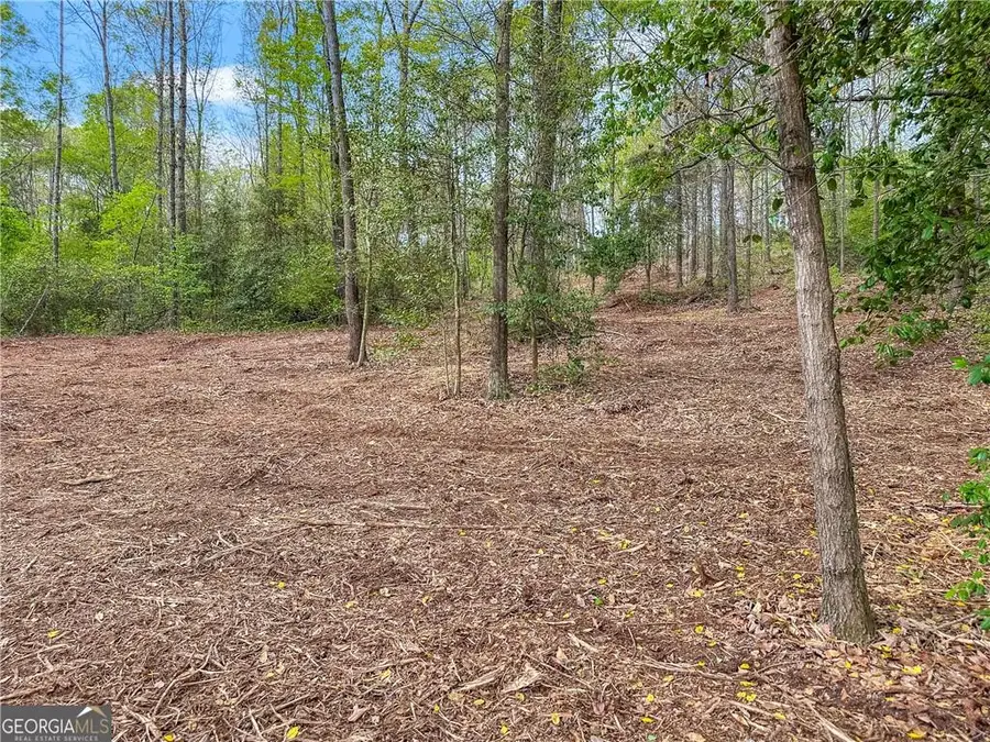 101 Broad River Road, Eastanollee, GA 30538 - #3