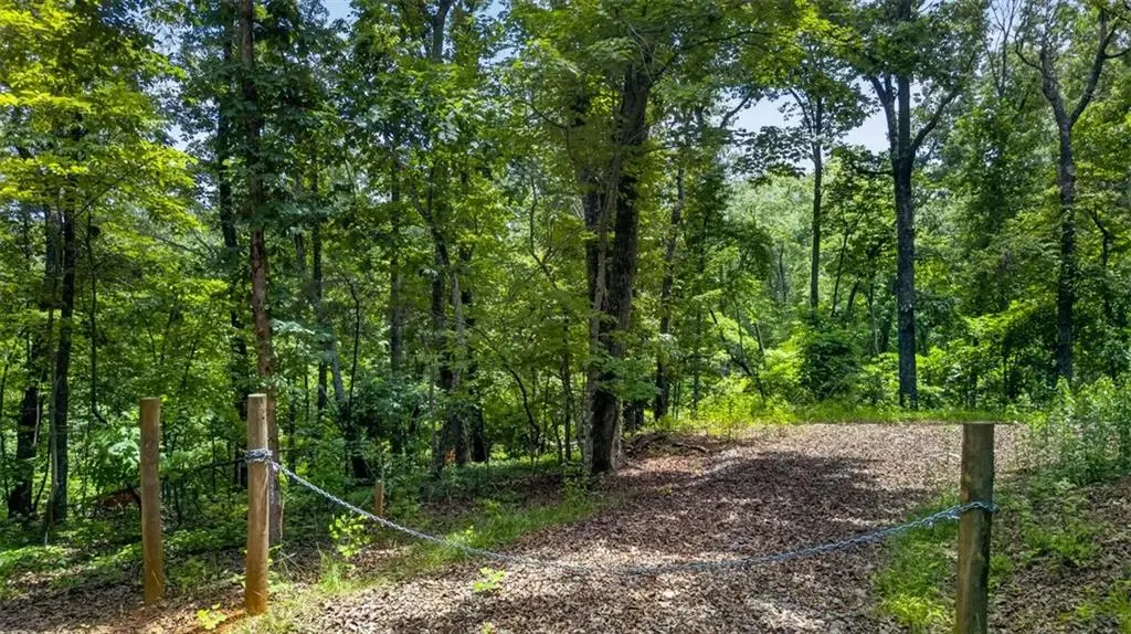 2022 Pleasant Union Road, Canton, GA 30114 - #1
