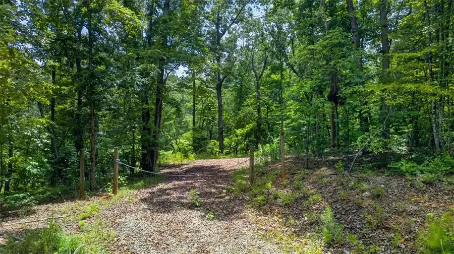 2022 Pleasant Union Road, Canton, GA 30114 - #2