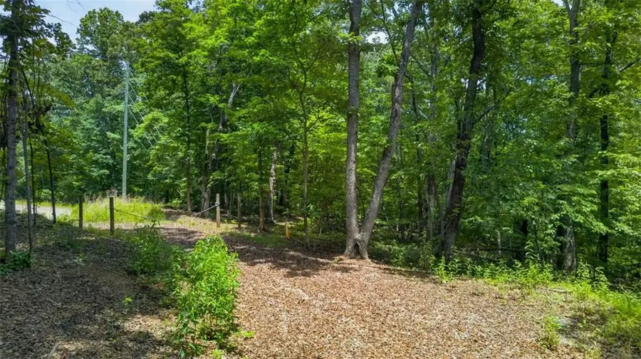 2022 Pleasant Union Road, Canton, GA 30114 - #3