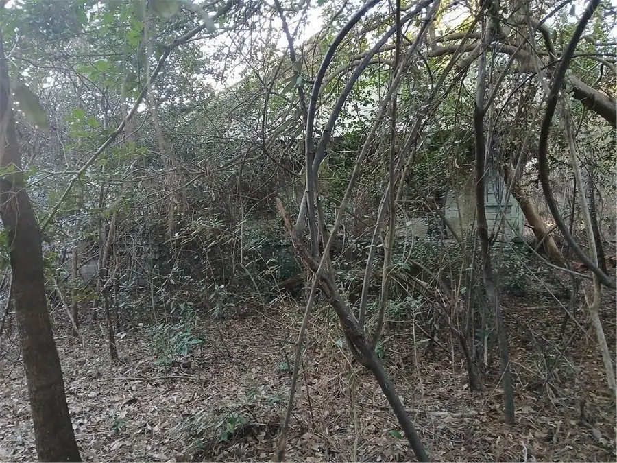 742 Campbell Road, Covington, GA 30014 - #2