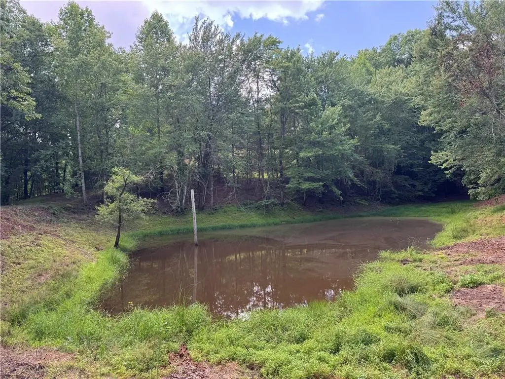3.5 AC Ben Higgins Road, Dahlonega, GA 30533 - #1