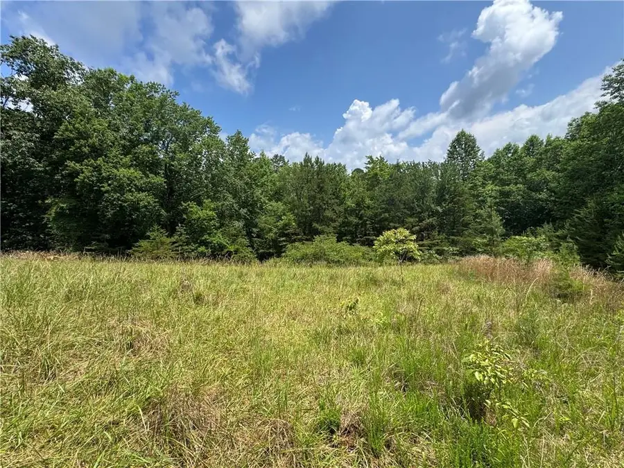 3.5 AC Ben Higgins Road, Dahlonega, GA 30533 - #2