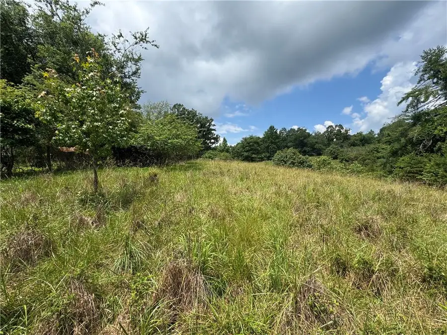 3.5 AC Ben Higgins Road, Dahlonega, GA 30533 - #3