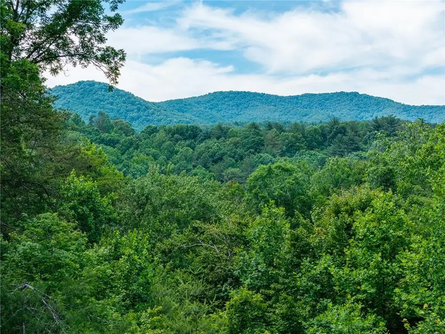 1172 Settlers Ridge Road, Ellijay, GA 30540 - #3
