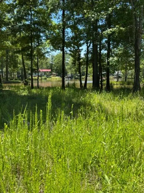 LOT 6 County Road 182, Cedar Bluff, AL 35959 - #3