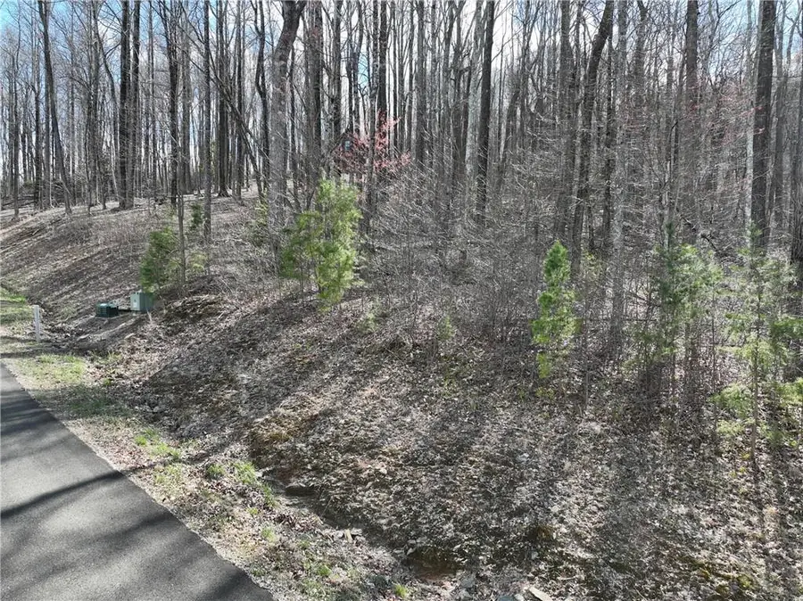 270R Stone Cliff Drive, Ellijay, GA 30536 - #2
