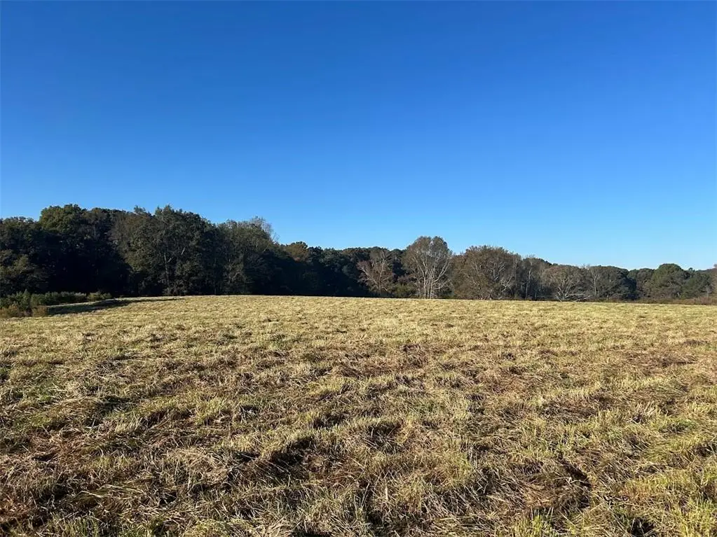 0 Old Columbus Road, Bowdon, GA 30108 - #1