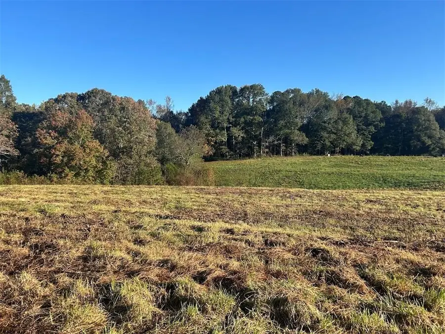 0 Old Columbus Road, Bowdon, GA 30108 - #2