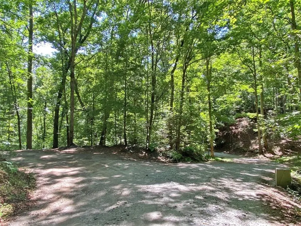 2.4AC Old River Road, Dahlonega, GA 30533 - #1