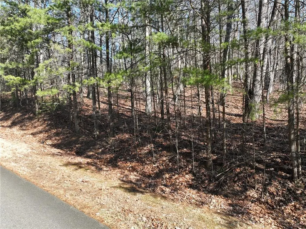 57 St Andrews Way, Ellijay, GA 30536 - #1