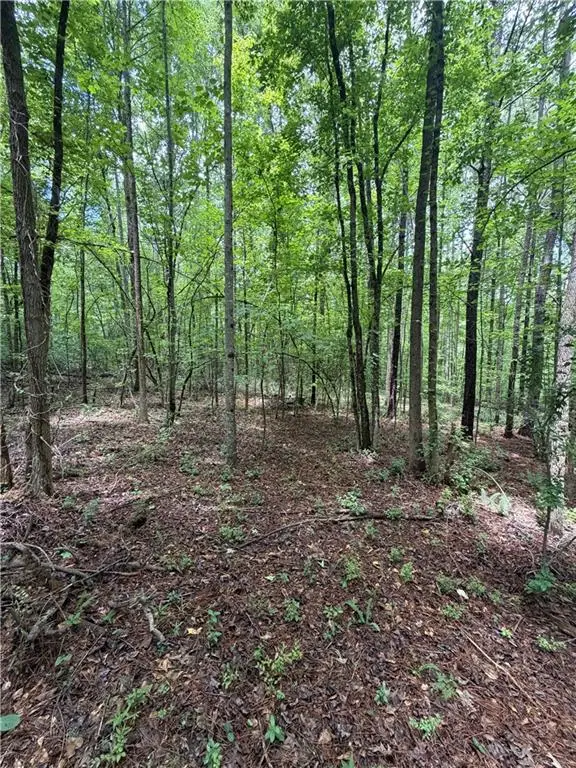 8915 Cedar Grove Road, Fairburn, GA 30213 - #3