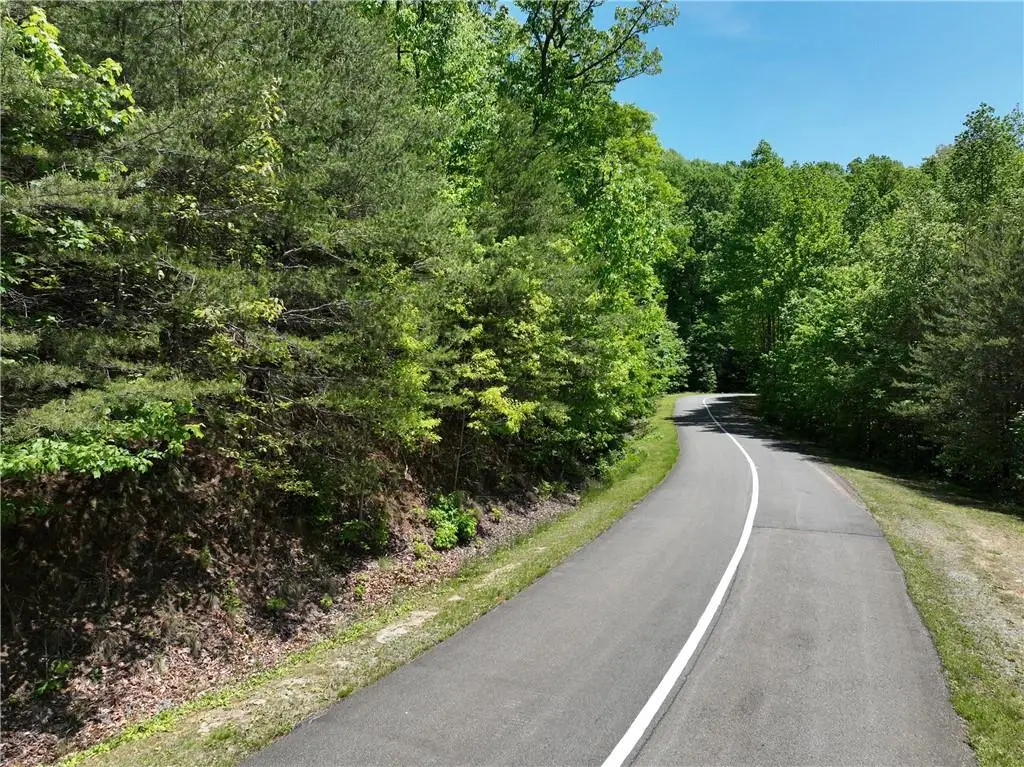 59 St Andrews Way, Ellijay, GA 30536 - #1