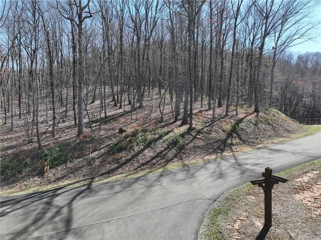 180 Trailwood Drive, Ellijay, GA 30536 - #1
