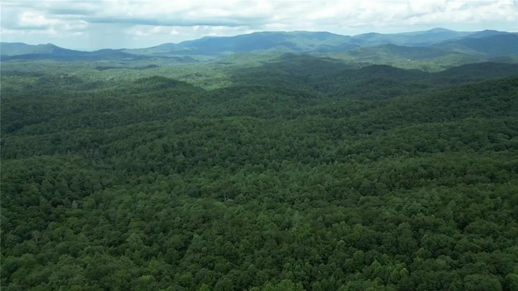 Lot 14 Oceola Drive, Ellijay, GA 30540 - #1