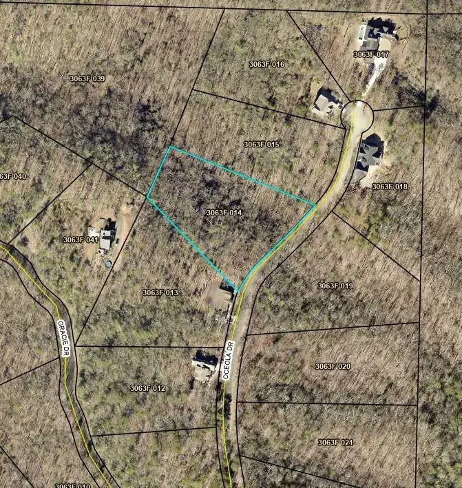Lot 14 Oceola Drive, Ellijay, GA 30540 - #3