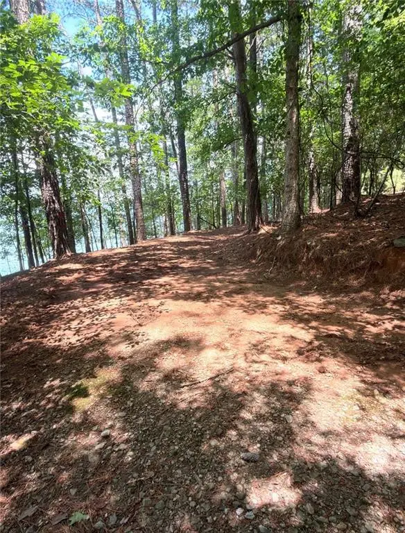 1739 Green Road, Buford, GA 30518 - #3