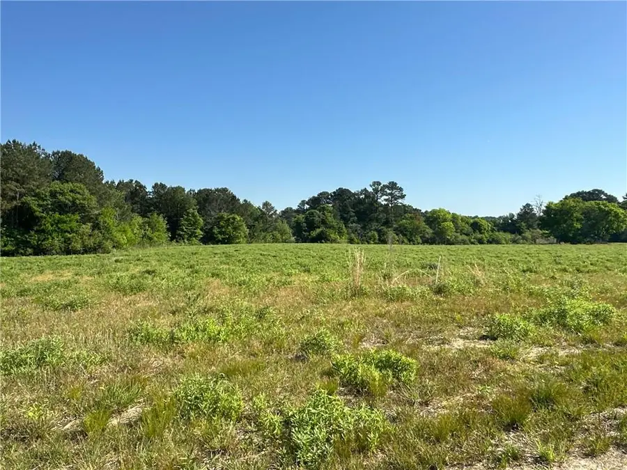 Tract 3 120 Popham Road, Taylorsville, GA 30178 - #3